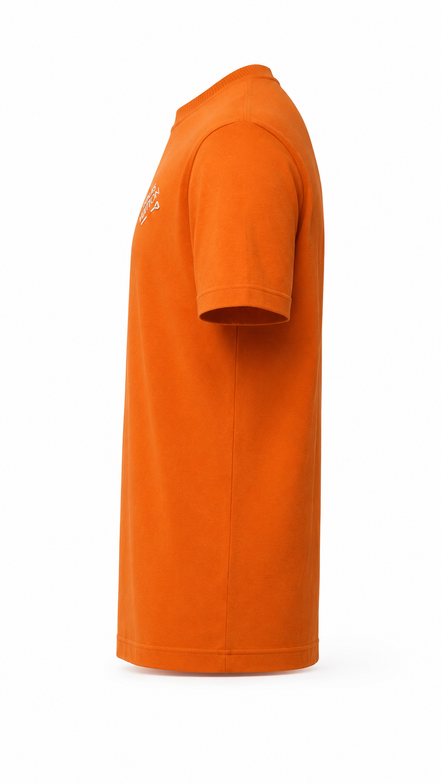 Louis Vuitton Signature T-Shirt "Unworn"