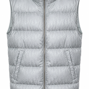 Dior Oblique Down Gilet Silver 