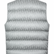 Dior Oblique Down Gilet Silver 