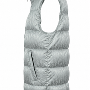 Dior Oblique Down Gilet Silver 