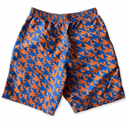 Louis Vuitton Orange and Blue Graphic Shorts 