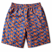 Louis Vuitton Orange and Blue Graphic Shorts 