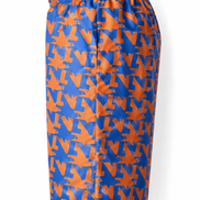 Louis Vuitton Orange and Blue Graphic Shorts 