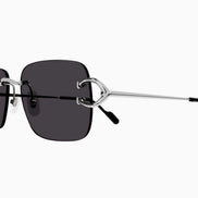 Cartier CT0330S-001 sunglasses 