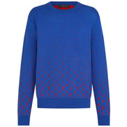 Louis Vuitton Sweatshirt XXL “Never Owned”