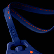 Blue and Orange Swatch x AP 