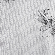 Dior x Daniel Arsham Eroded Oblique T-Shirt (Pre-loved)