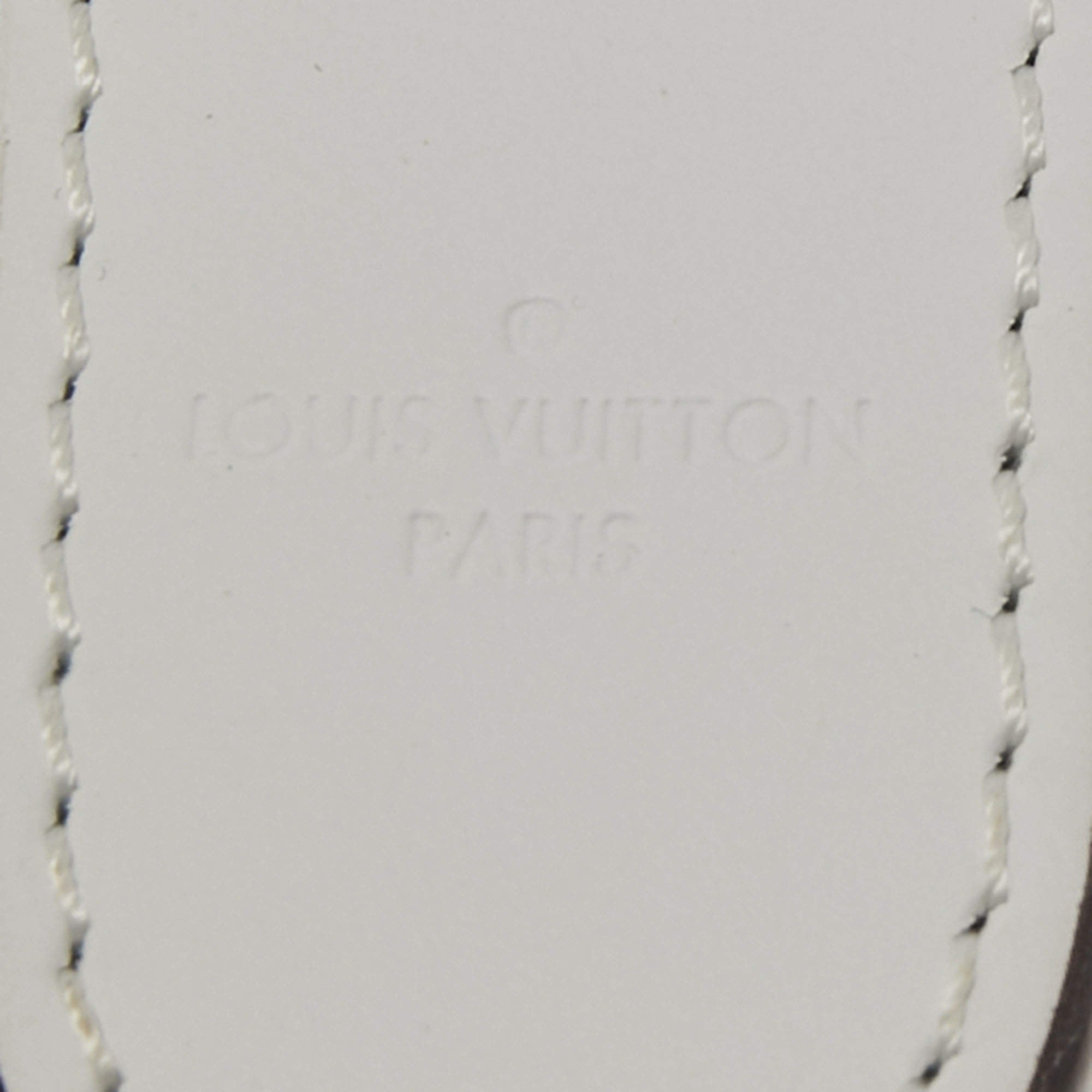 Louis Vuitton Light Blue Adjustable Leather Shoulder Strap 