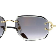 Cartier Grey CT0468S Sunglasses 