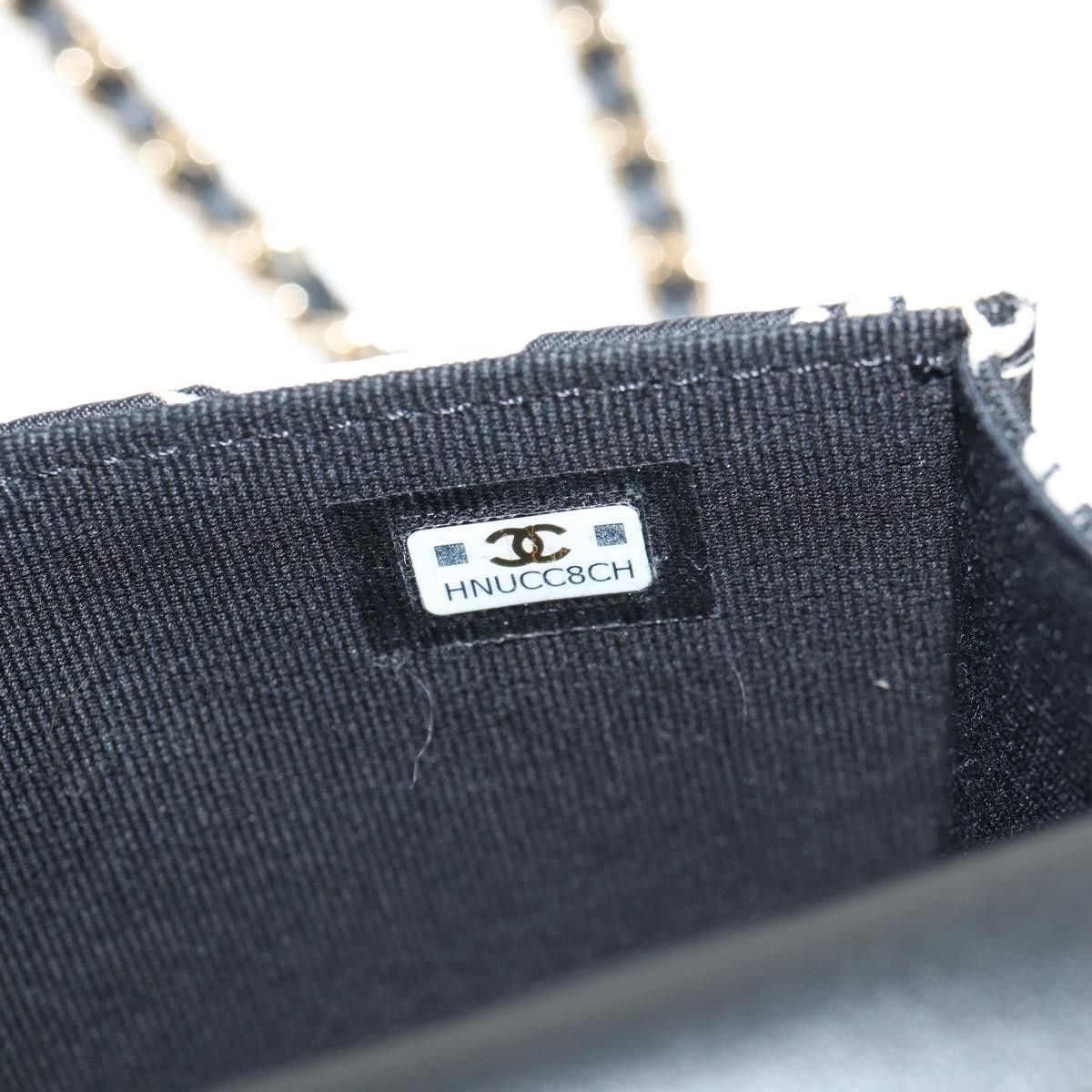 Chanel Mini Wallet On Chain Bag 