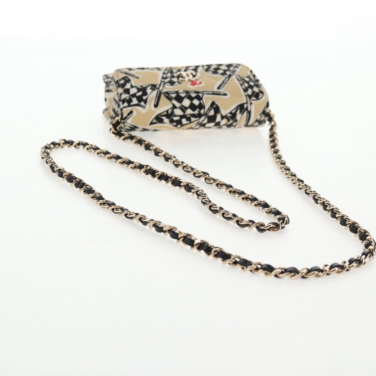 Chanel Mini Wallet On Chain Bag 